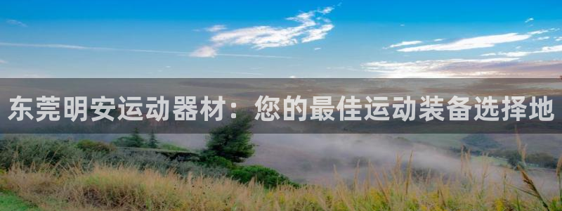 678官方集团官网:东莞明安运动器材:您的最佳运动装备选择地