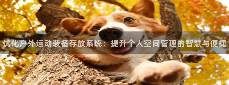 678体育官方正版app开户:优化户外运动装备存放系统:提升