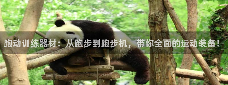 678体育官网下载招商电话是多少:跑动训练器材:从跑步到跑步